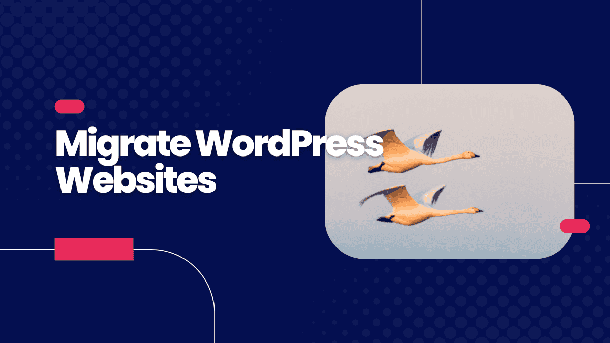 How To Migrate WordPress Websites: 3 Easy Methods - WPVibes