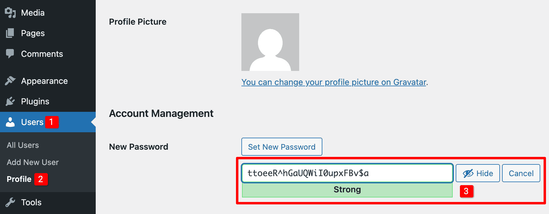 WordPress Security User Password