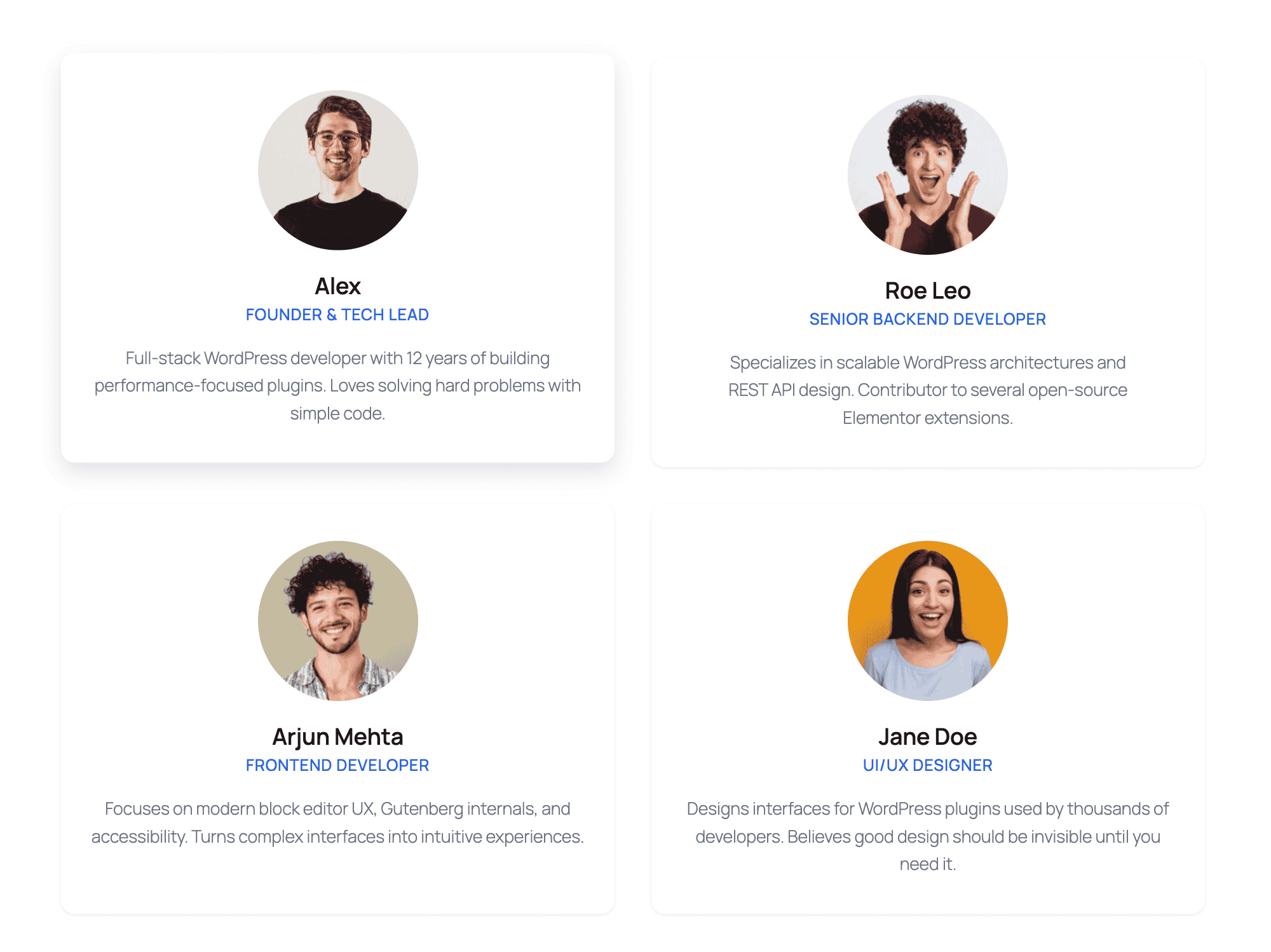 Team Members grid rendered on the frontend